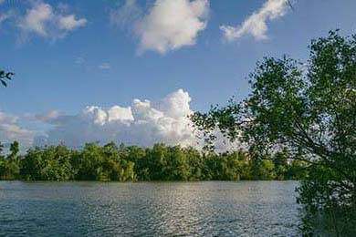 2025年中国篮球职业联赛新赛制全面推行，中国篮球职业联赛哪年开始